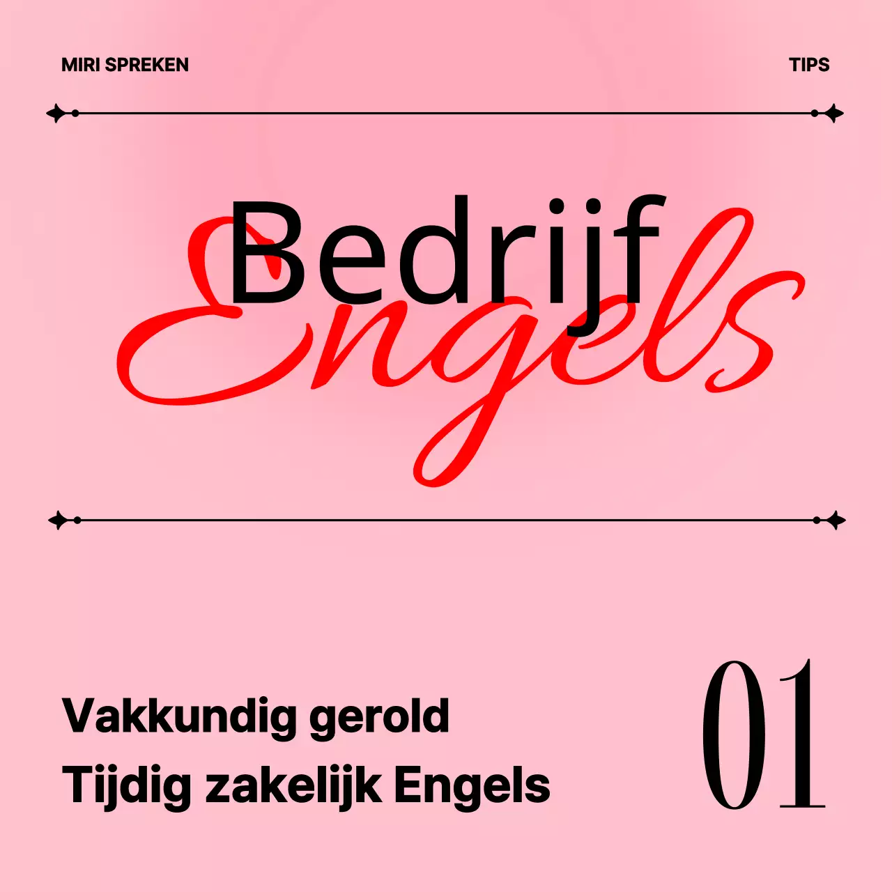 Minimalistisch lesmateriaal zakelijk Engels in roze en wit