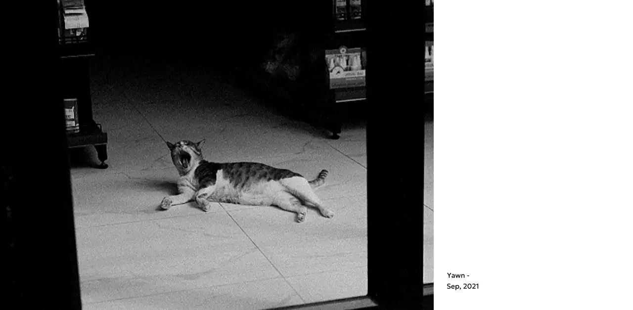 すっきりとした都会的な雰囲気のフォトカレンダー