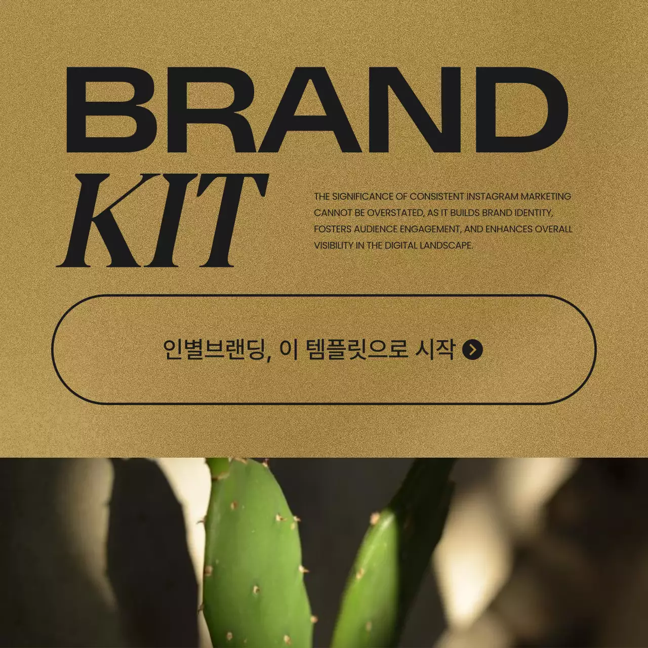 갈색과 빨강색의 트렌드한 SNS 브랜드 키트 게시글