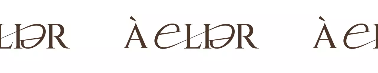 Pour une boutique éditoriale haut de gamme avec un logo textuel marron foncé