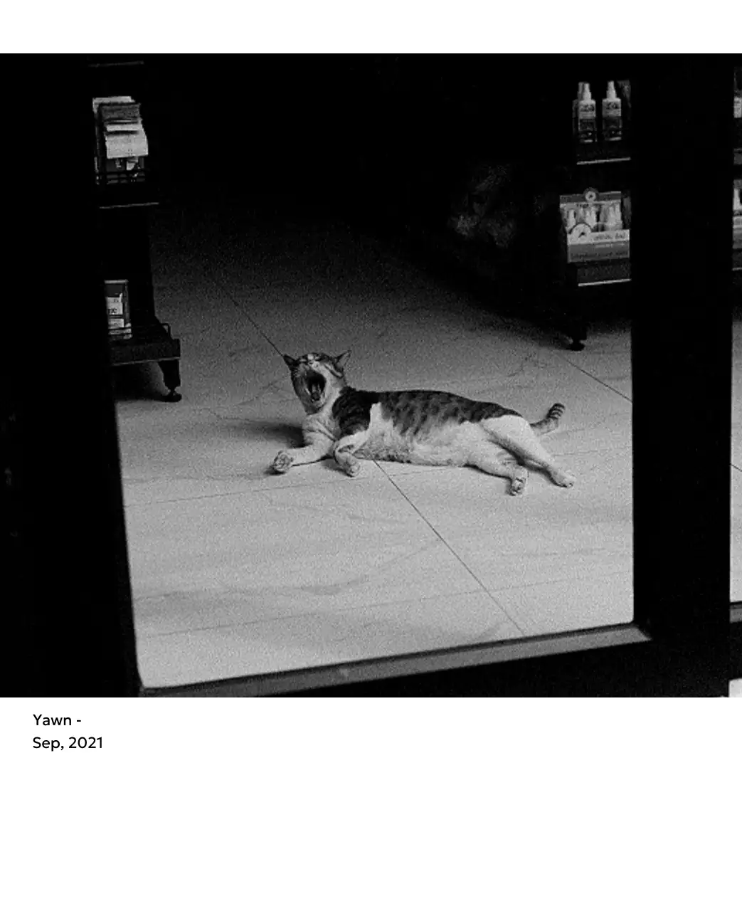 すっきりとした都会的な雰囲気のフォトカレンダー