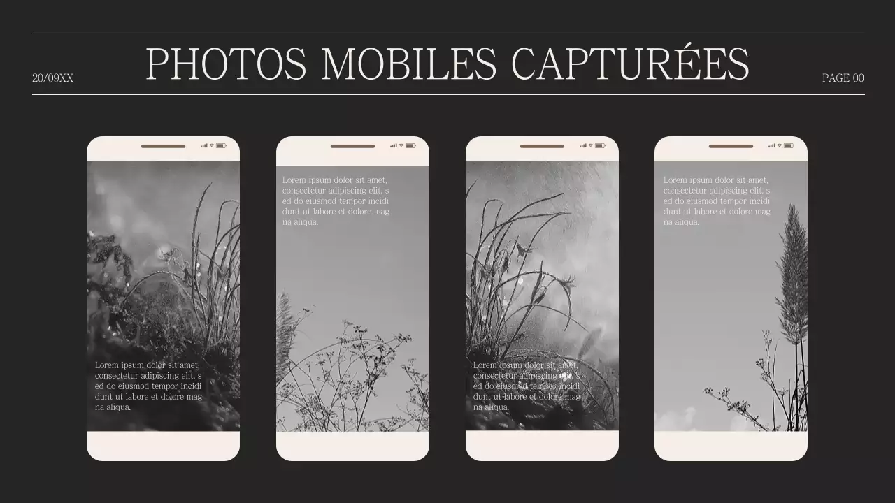 Proposition simple de collage de photos en dos d'âne