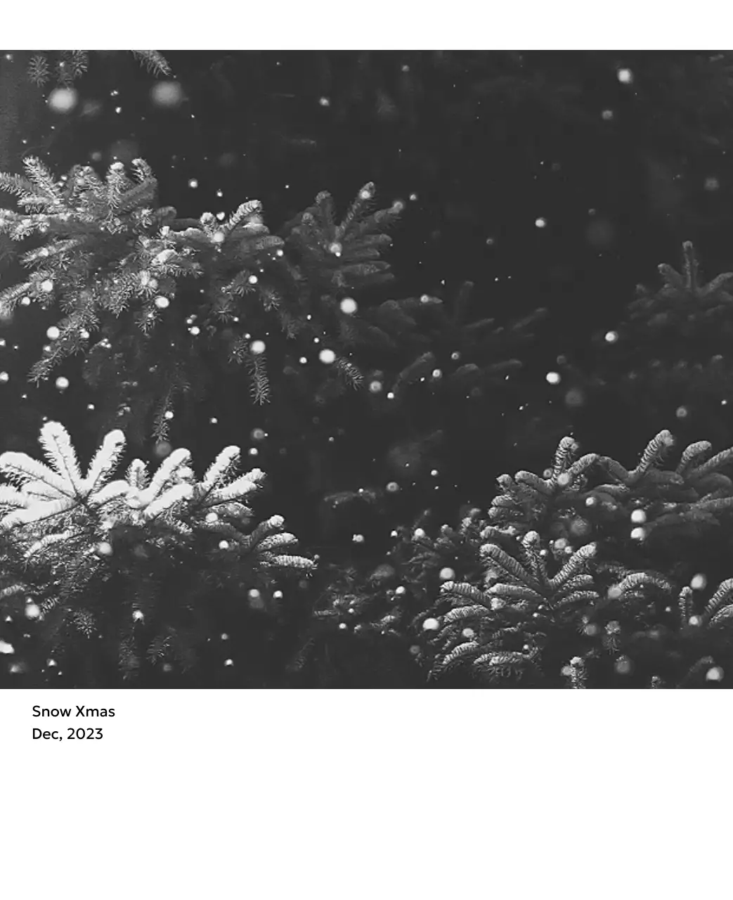 すっきりとした都会的な雰囲気のフォトカレンダー