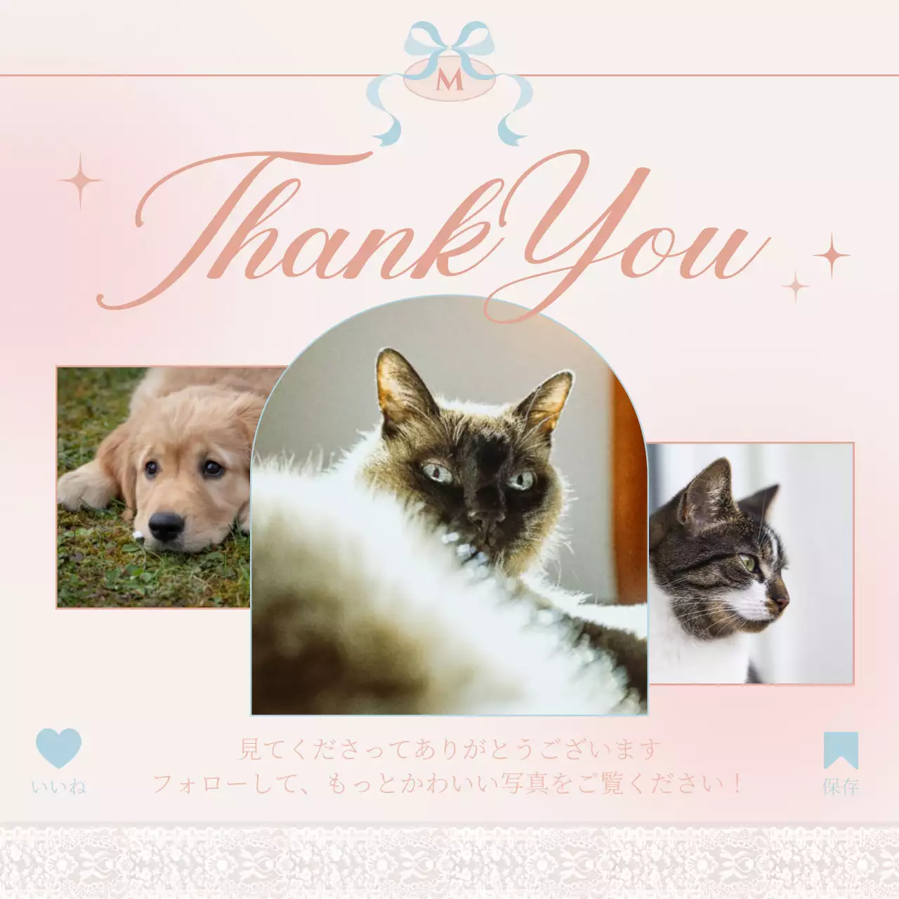 ピンク かわいい ペット カード Instagram投稿
