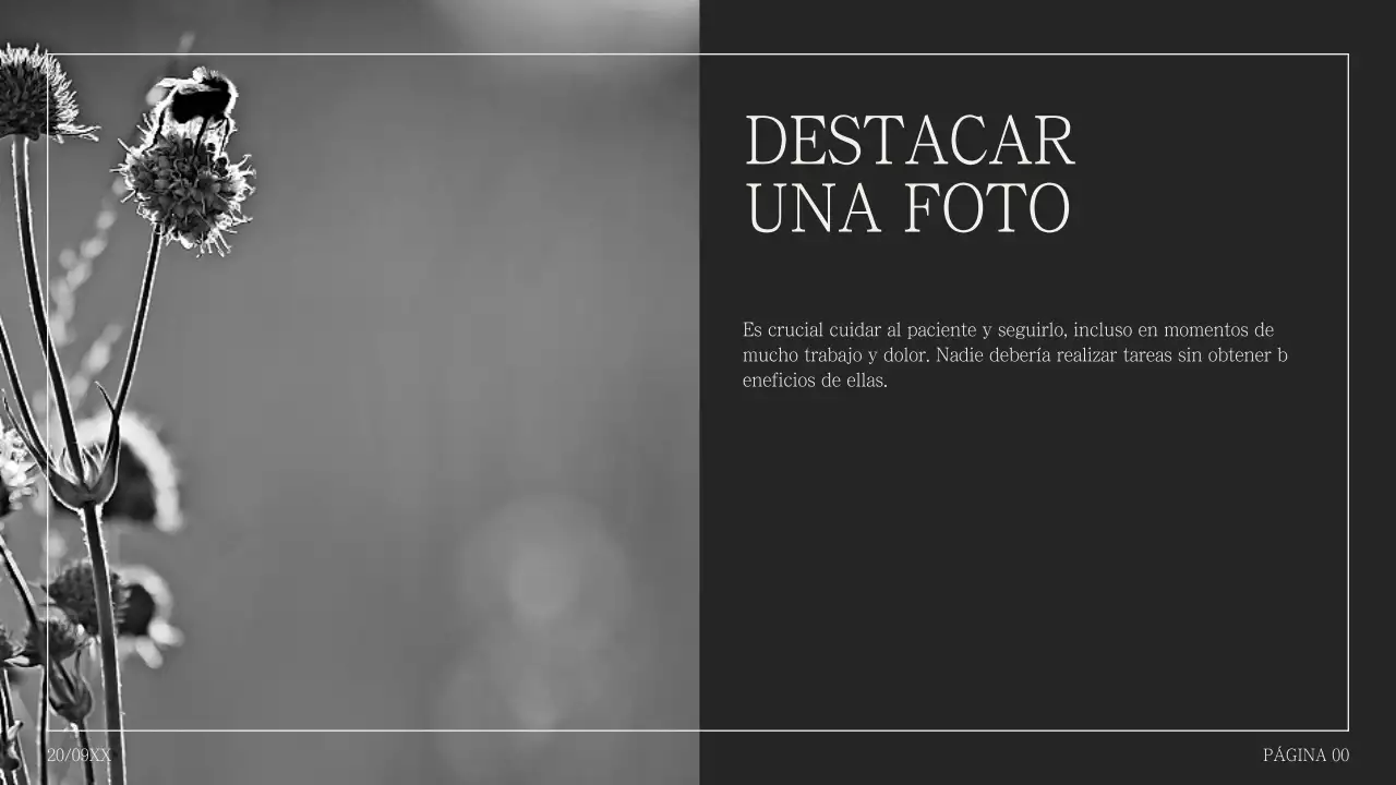 Propuesta de collage fotográfico sencillo en jorobado