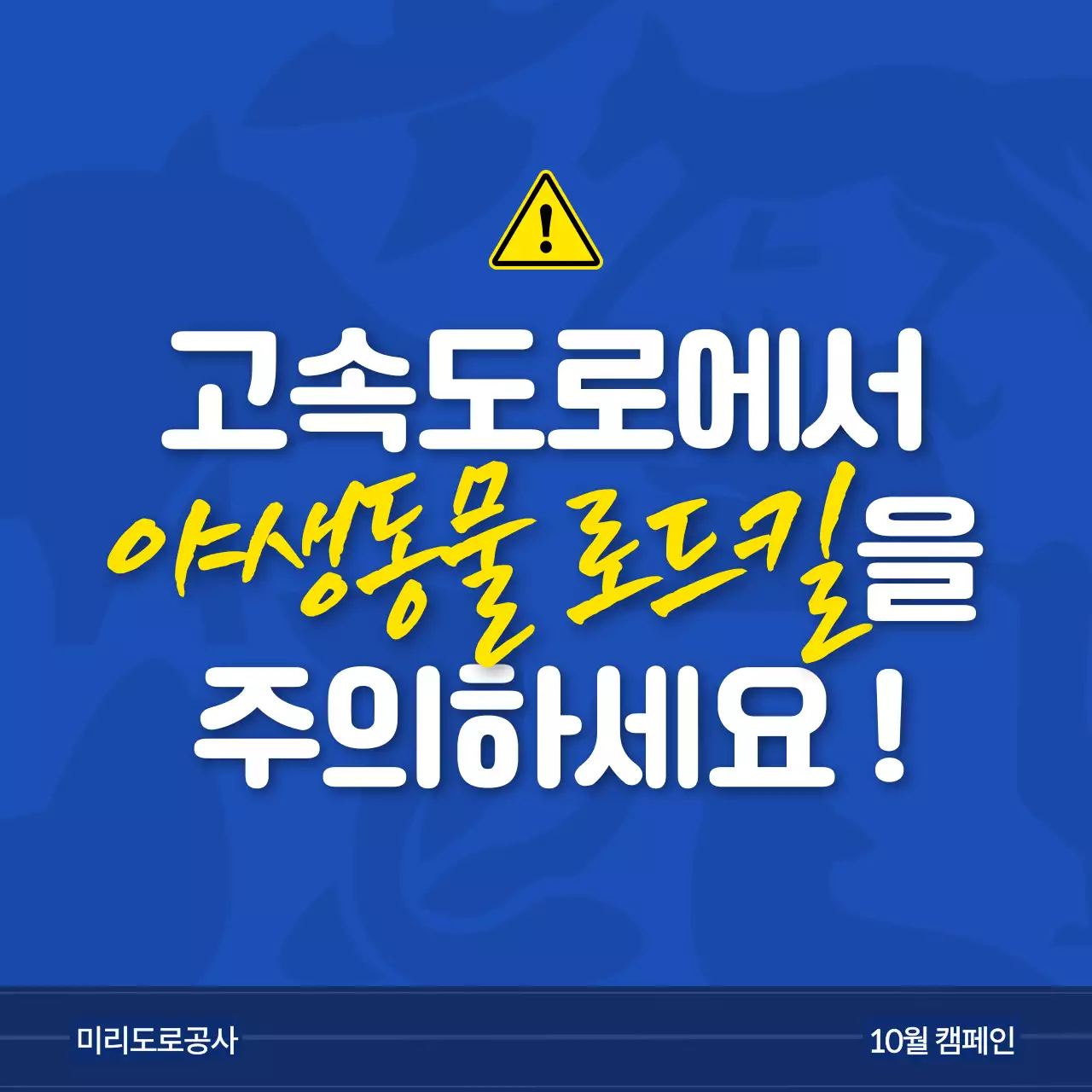 파랑과 노랑의 심플한 야생동물 안전수칙 홍보