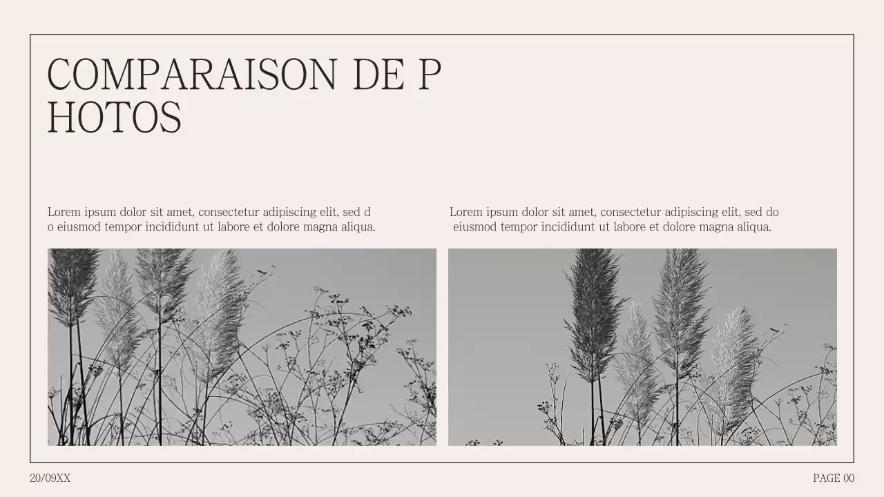 Proposition simple de collage de photos en dos d'âne