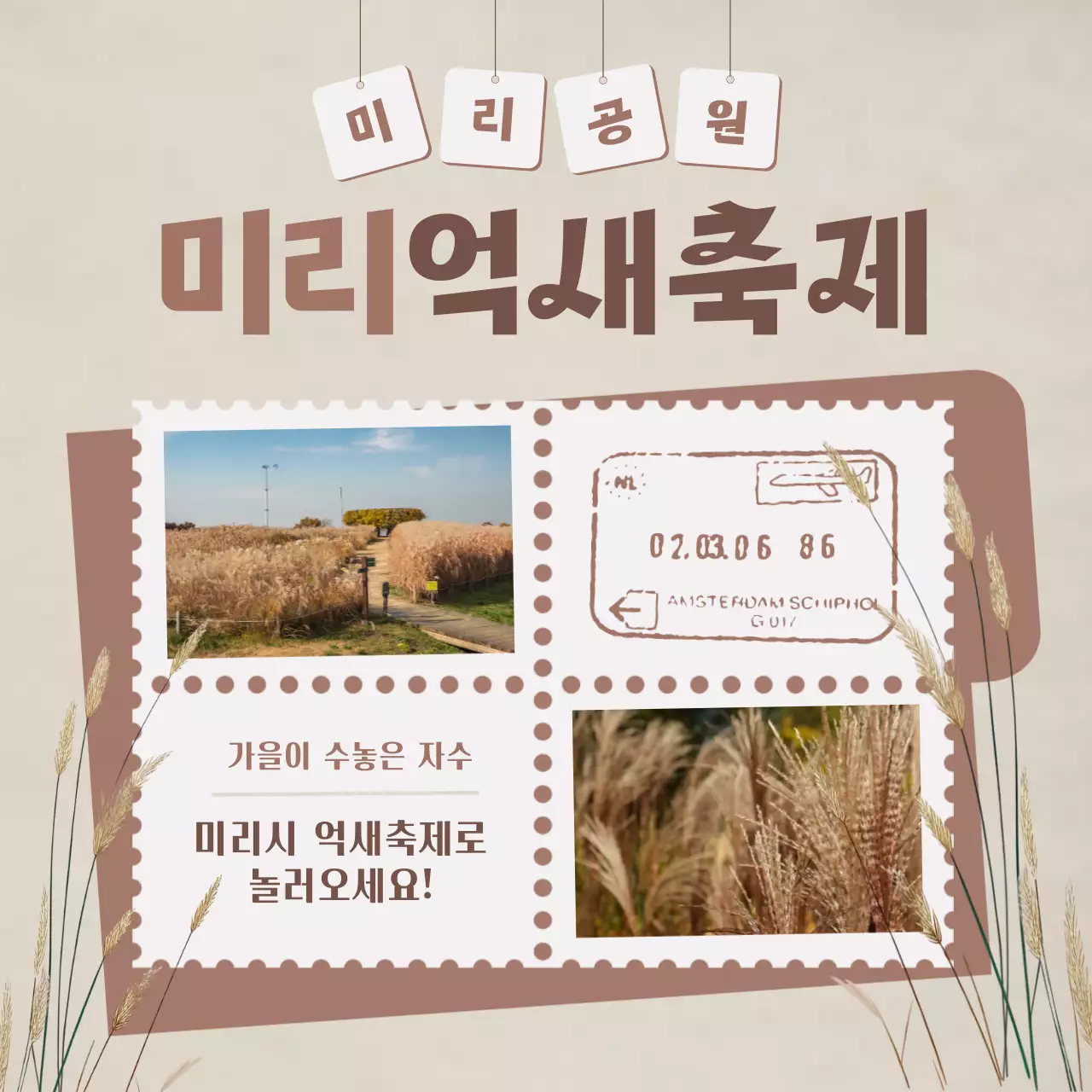 베이지와 갈색의 심플한 억새 축제 홍보