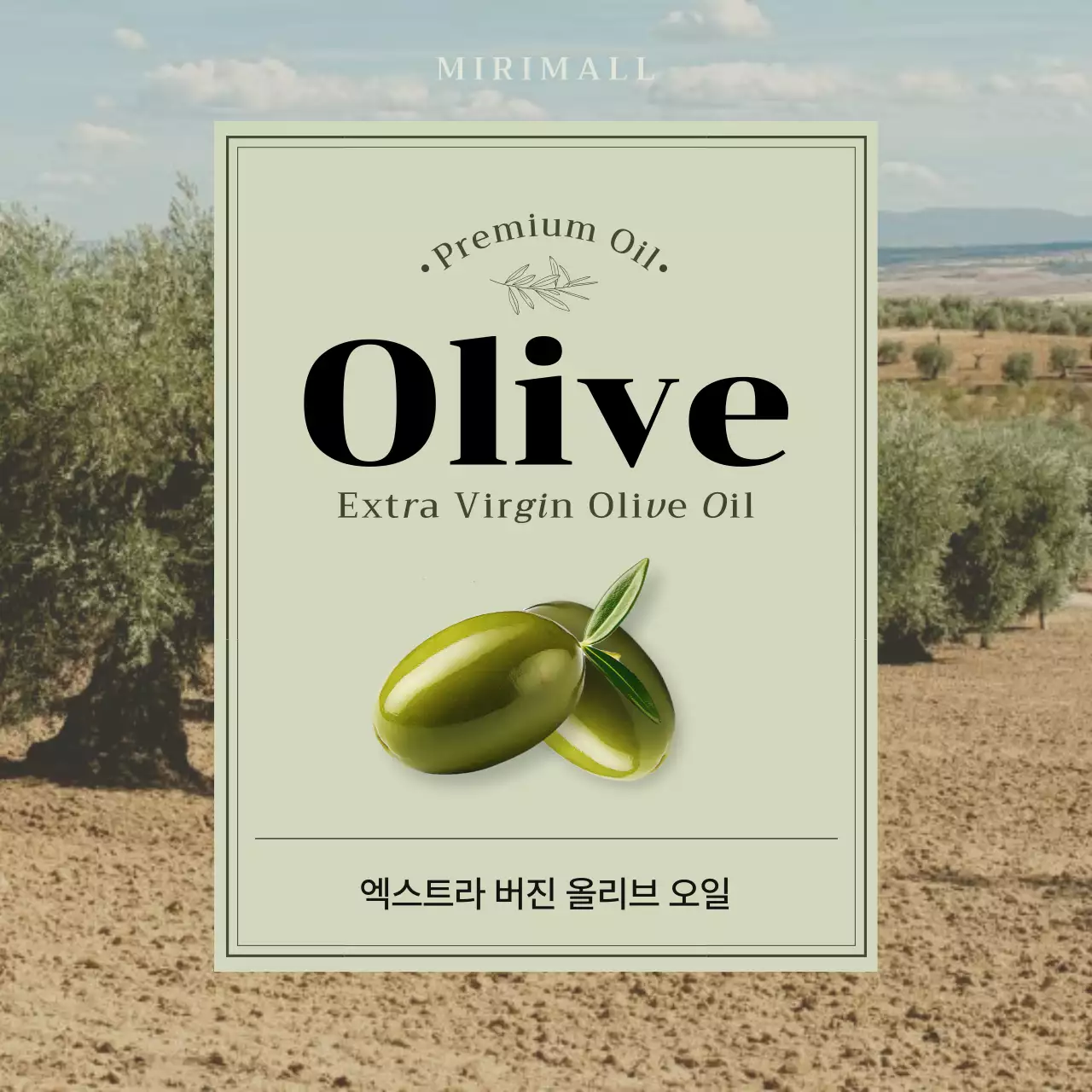 카키의 모던한 올리브오일 홍보