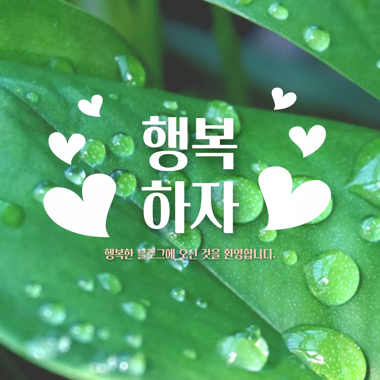 초록색배경의 블로그 커버