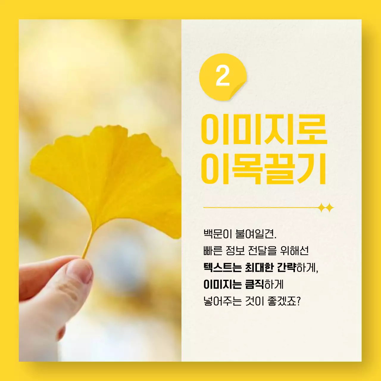 보라색과 주황색의 심플한 사진 프레임 마케팅 안내서