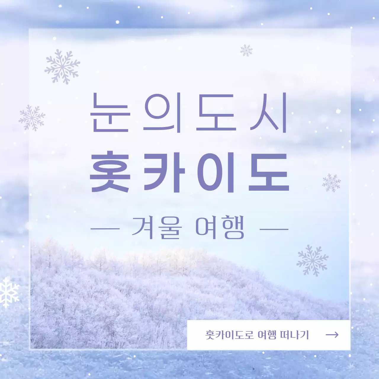 연보라의 자연의 일본 홋카이도 겨울 여행 정보