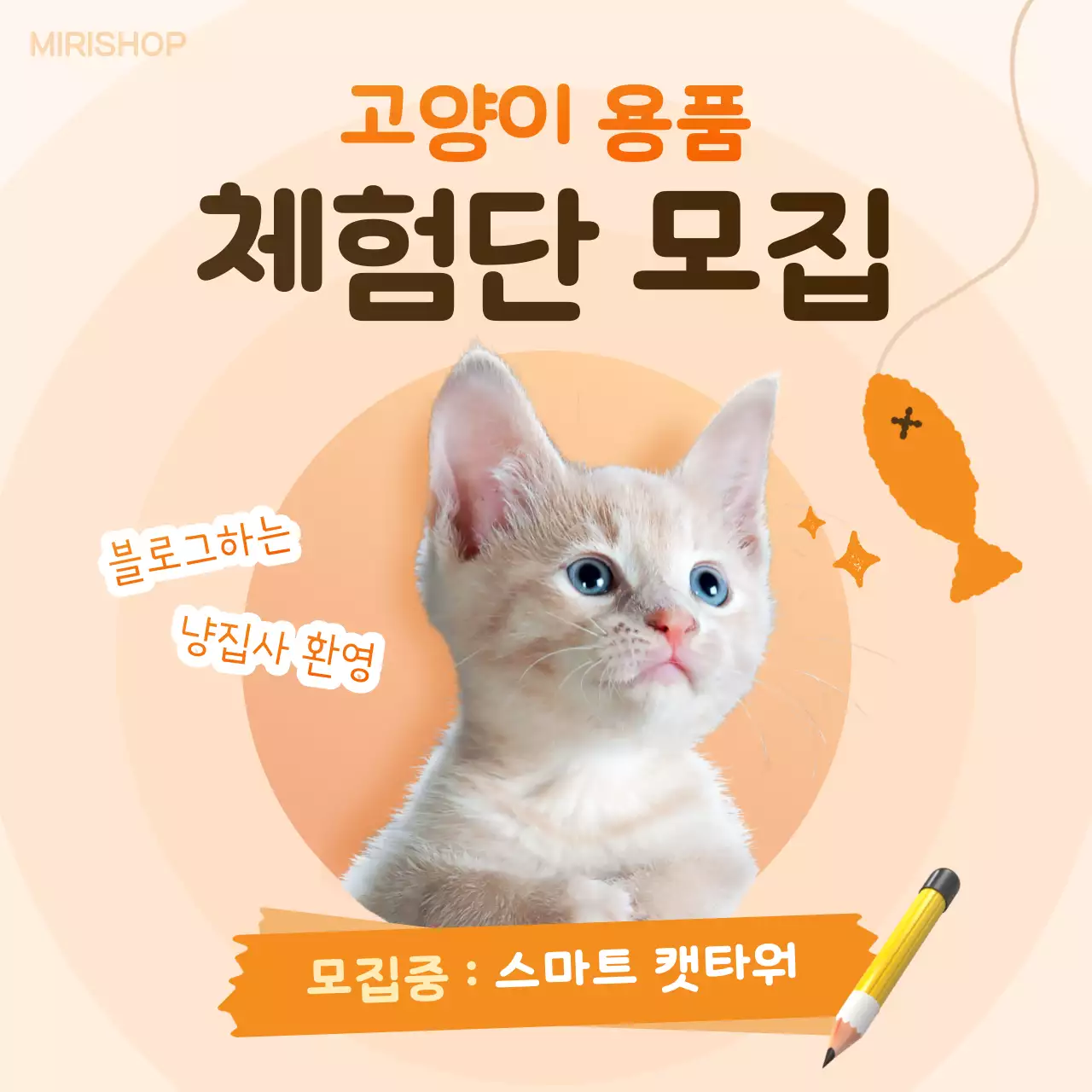 주황색의 귀여운 체험단 이벤트 광고