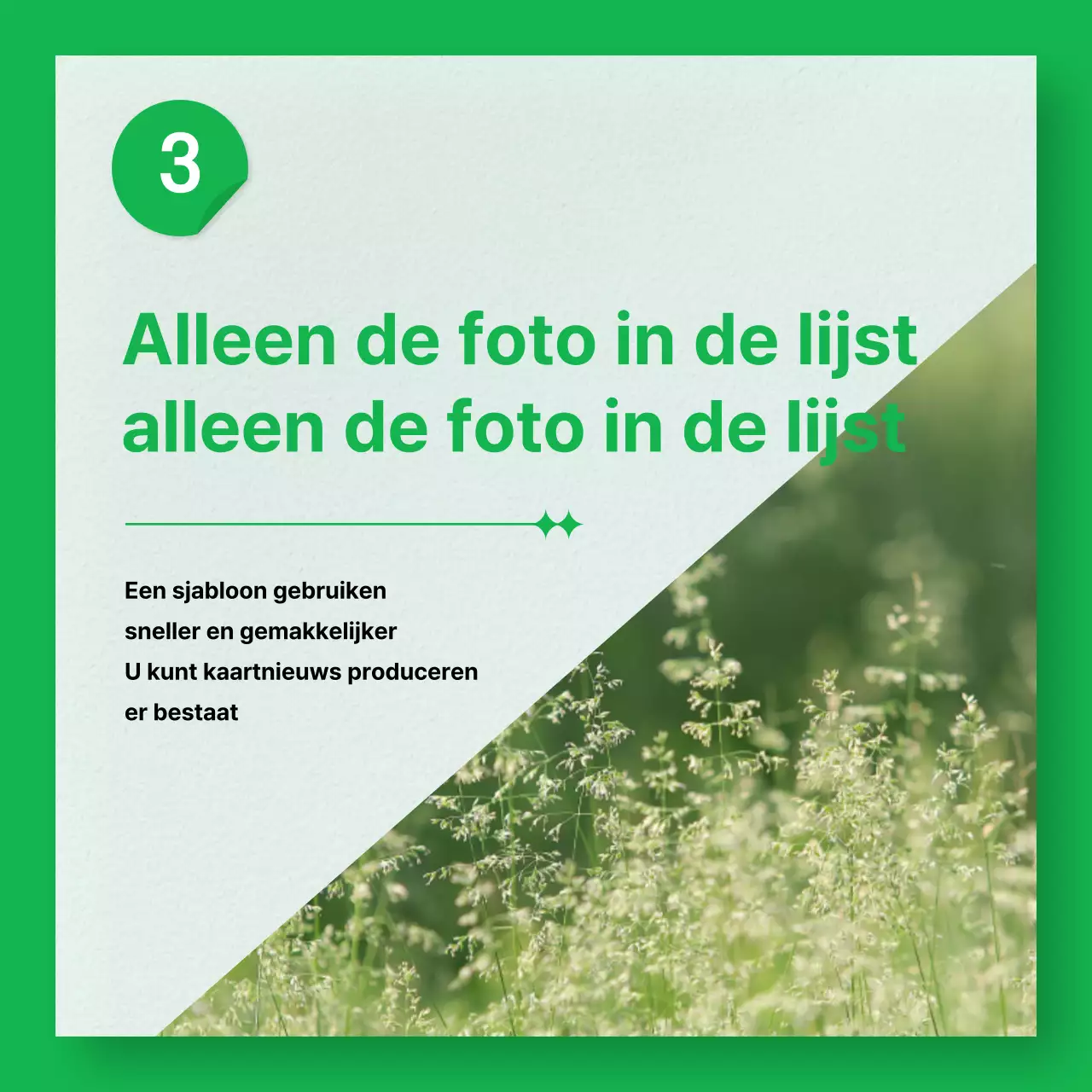 Een marketinggids voor eenvoudige fotolijsten in paars en oranje
