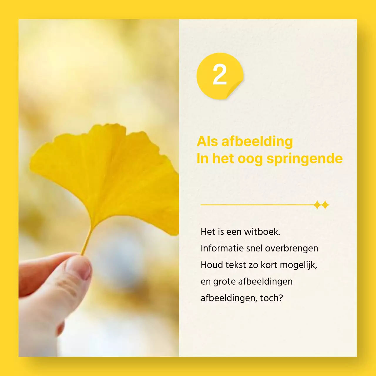 Een marketinggids voor eenvoudige fotolijsten in paars en oranje