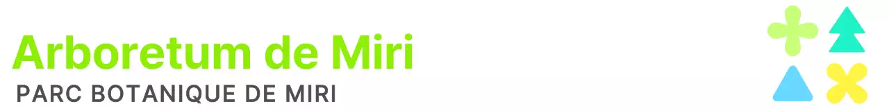 Créez votre marque dans des couleurs vives