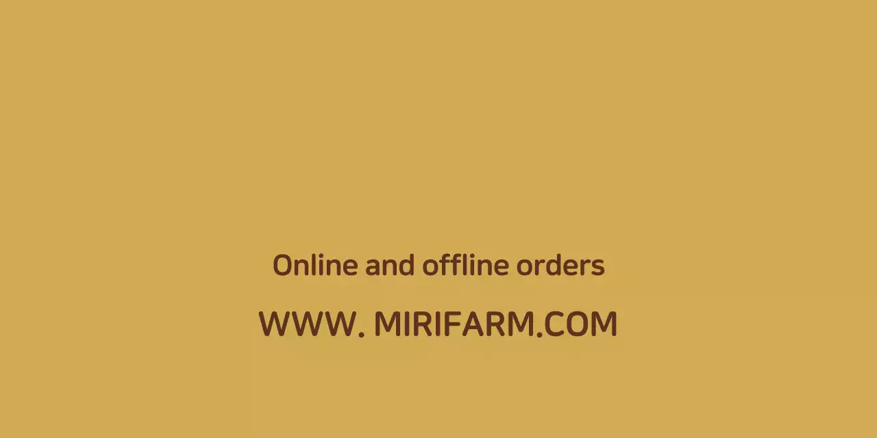 Thiết kế bao bì sản phẩm cửa hàng mật ong vàng