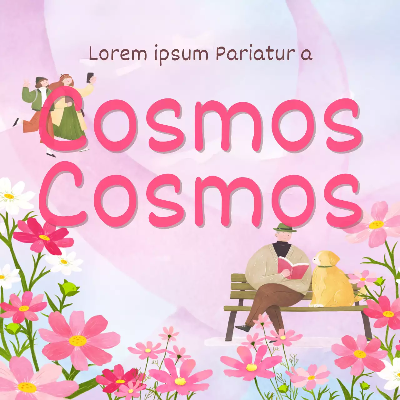 Anunciar um festival de cosmos na moda com um pano de fundo cor-de-rosa