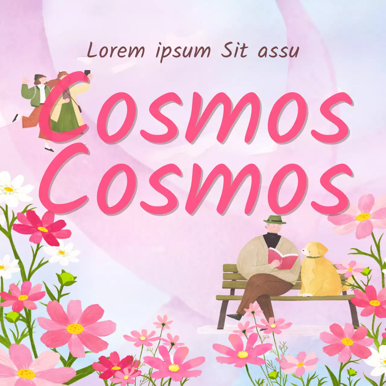 Anunciamos un festival de cosmos de moda con un telón de fondo rosa