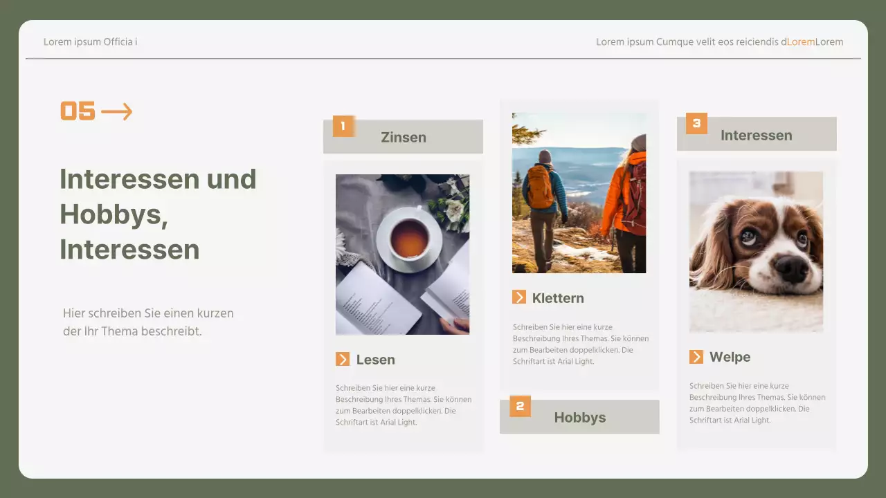 Einfaches Anschreiben für Berufseinsteiger in khaki und gelb