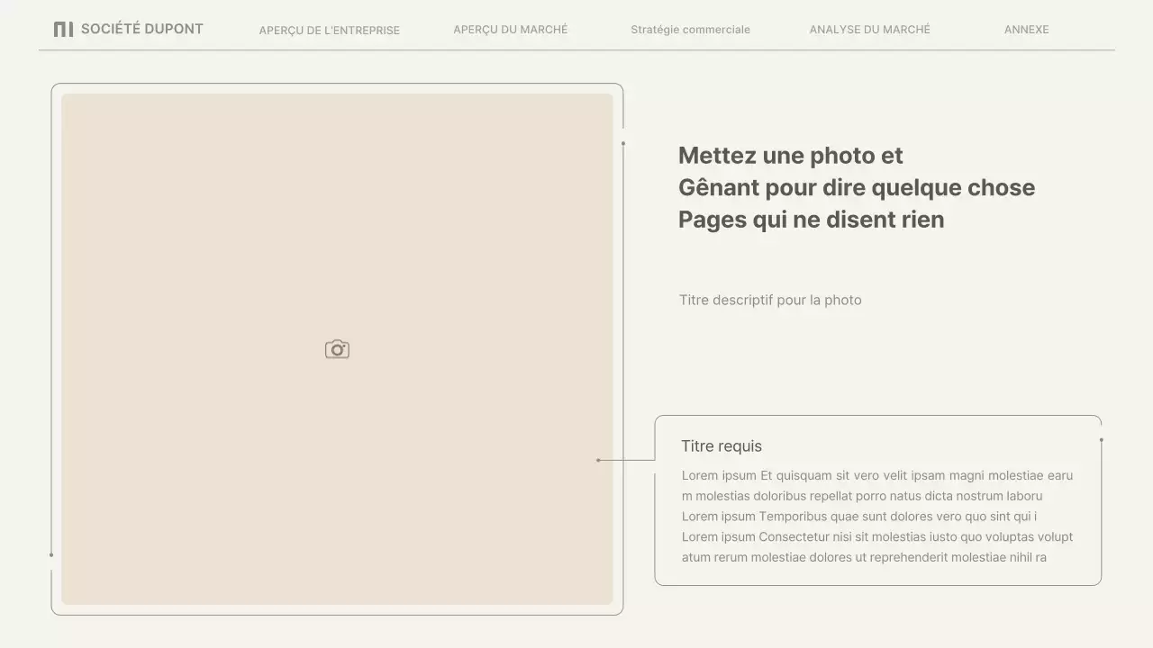 Rapports d'activité simples en beige