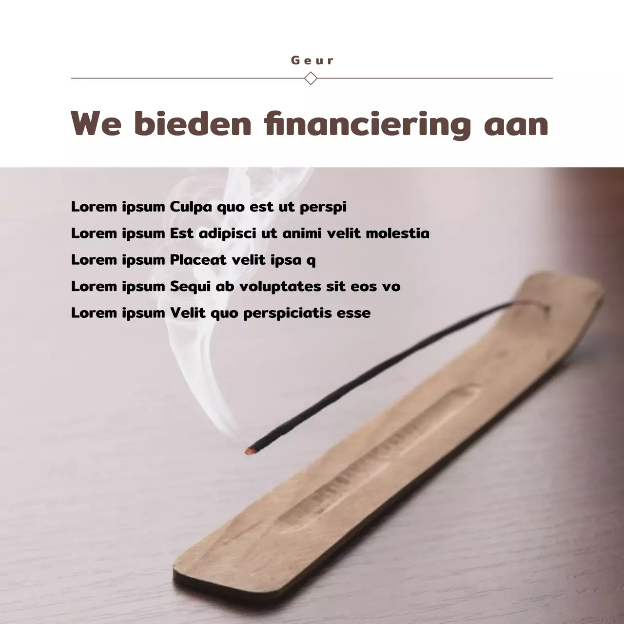 Promoot stimuleringsfinanciering met een vintage marineblauwe en bruine look