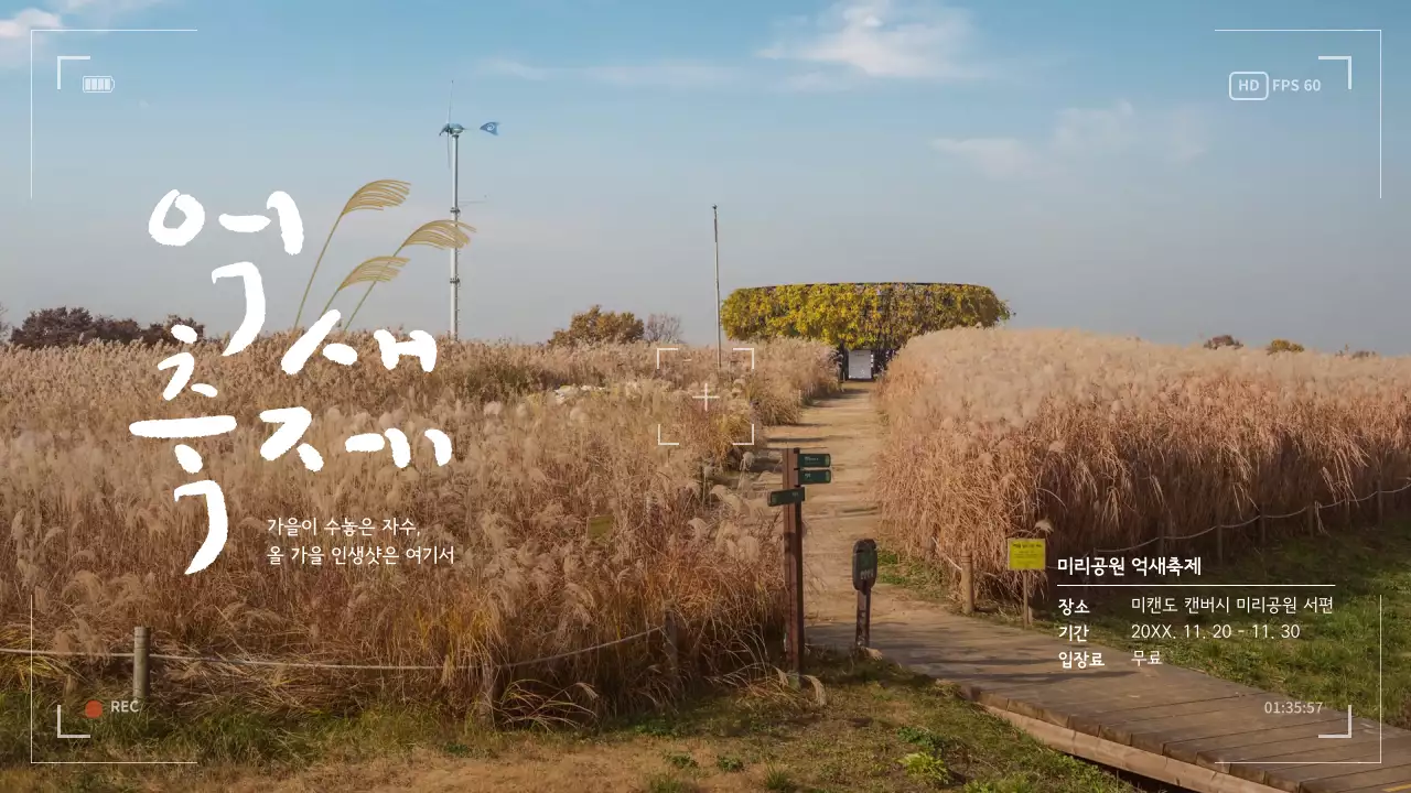 베이지색의 미니멀한 억새 축제 홍보