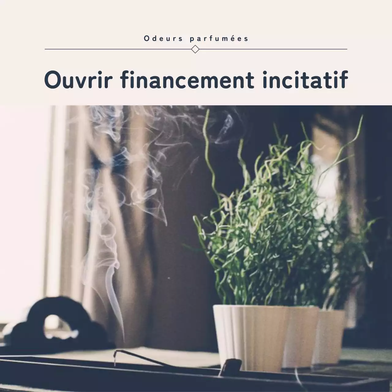 Promouvoir le financement incitatif avec un look vintage bleu marine et marron