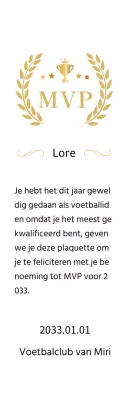 Luxe kampioenschapsborden met gouden lauweren en trofeeën