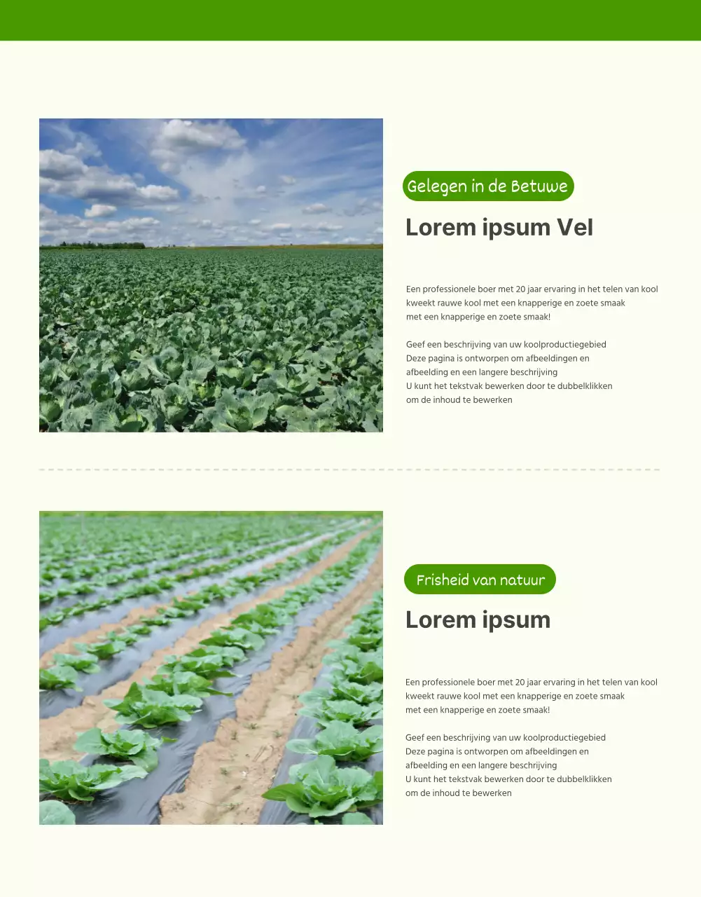 De verkoop van groene en chartreuse kolen bevorderen