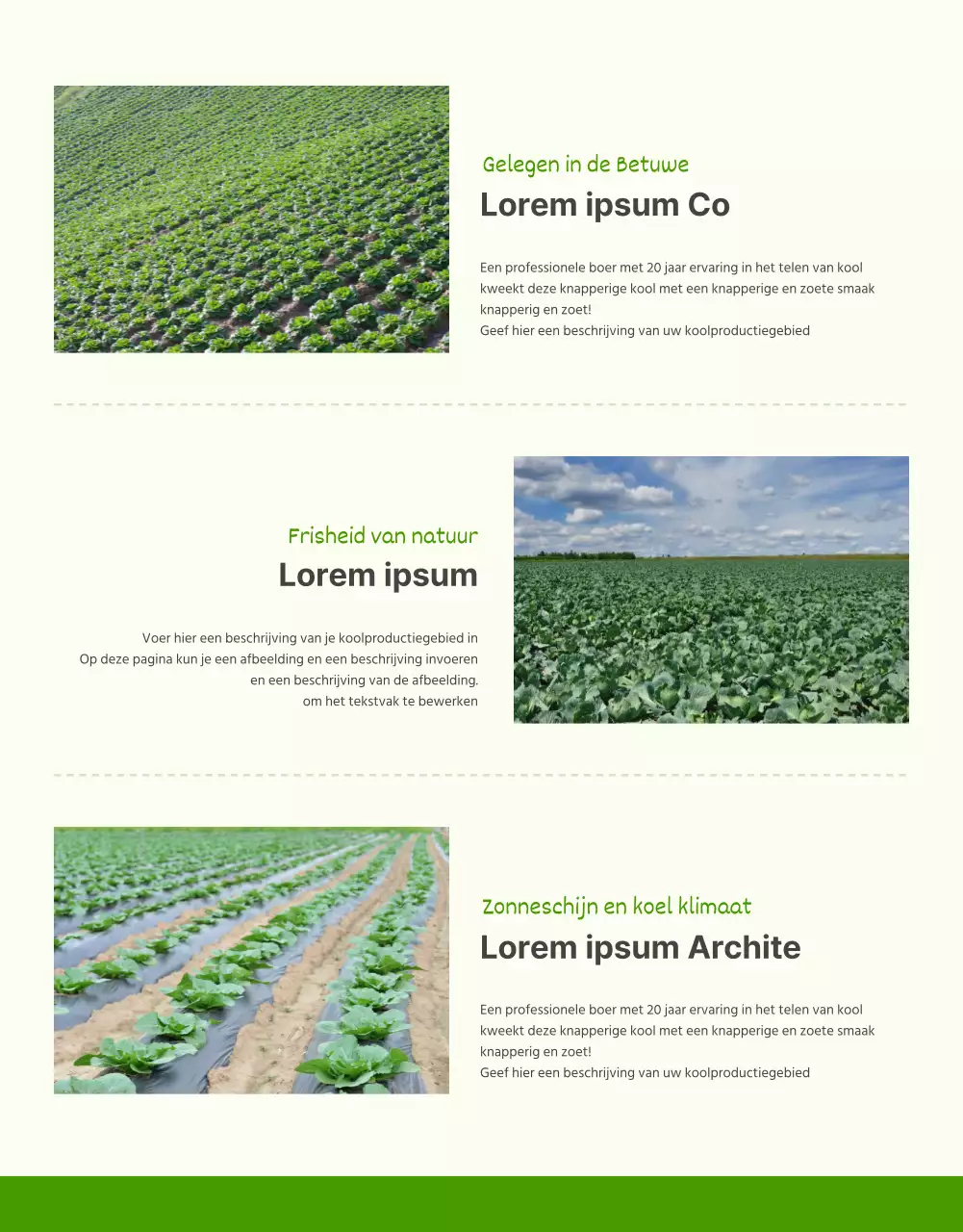 De verkoop van groene en chartreuse kolen bevorderen