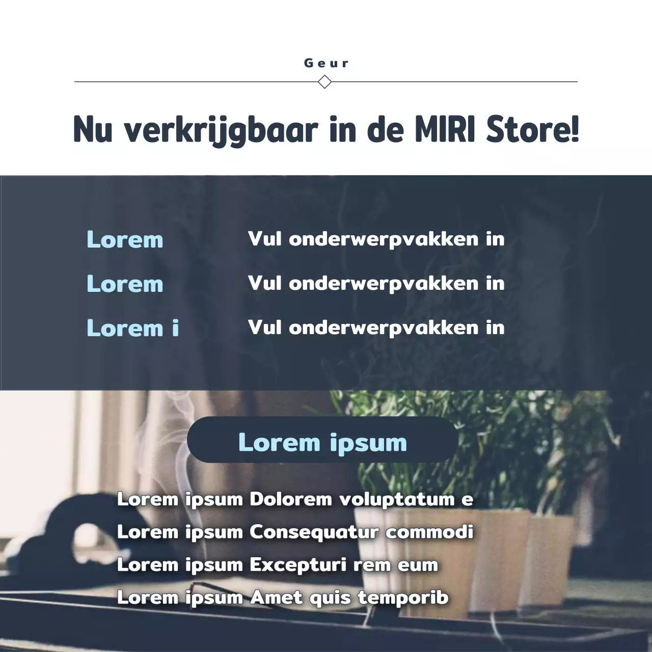 Promoot stimuleringsfinanciering met een vintage marineblauwe en bruine look