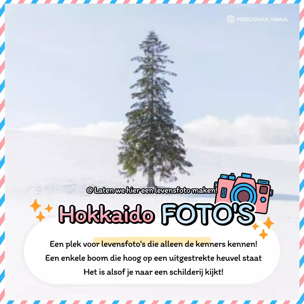 Een roze en lichtblauwe reisgids voor Japan