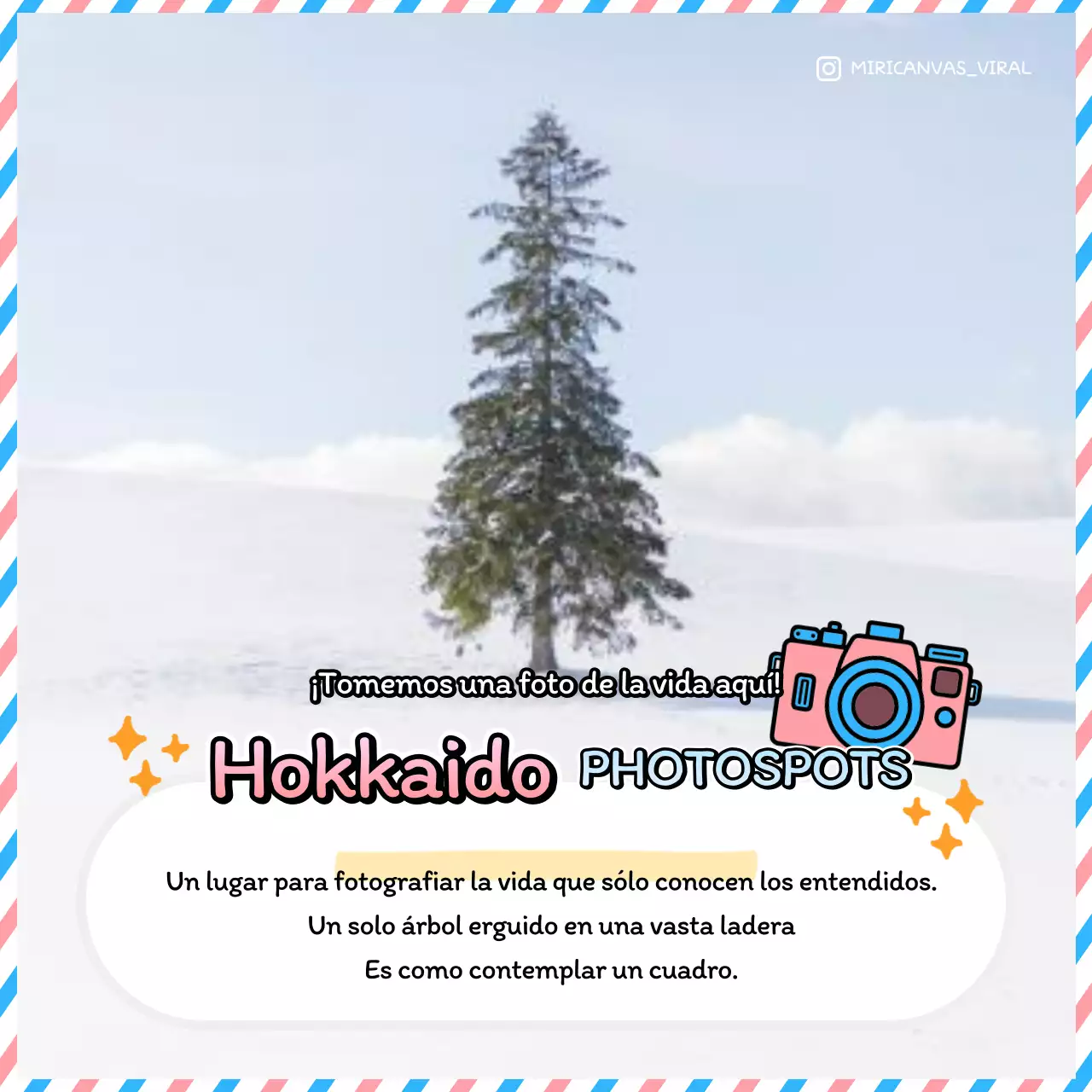 Guía de viaje de Japón en rosa y azul claro