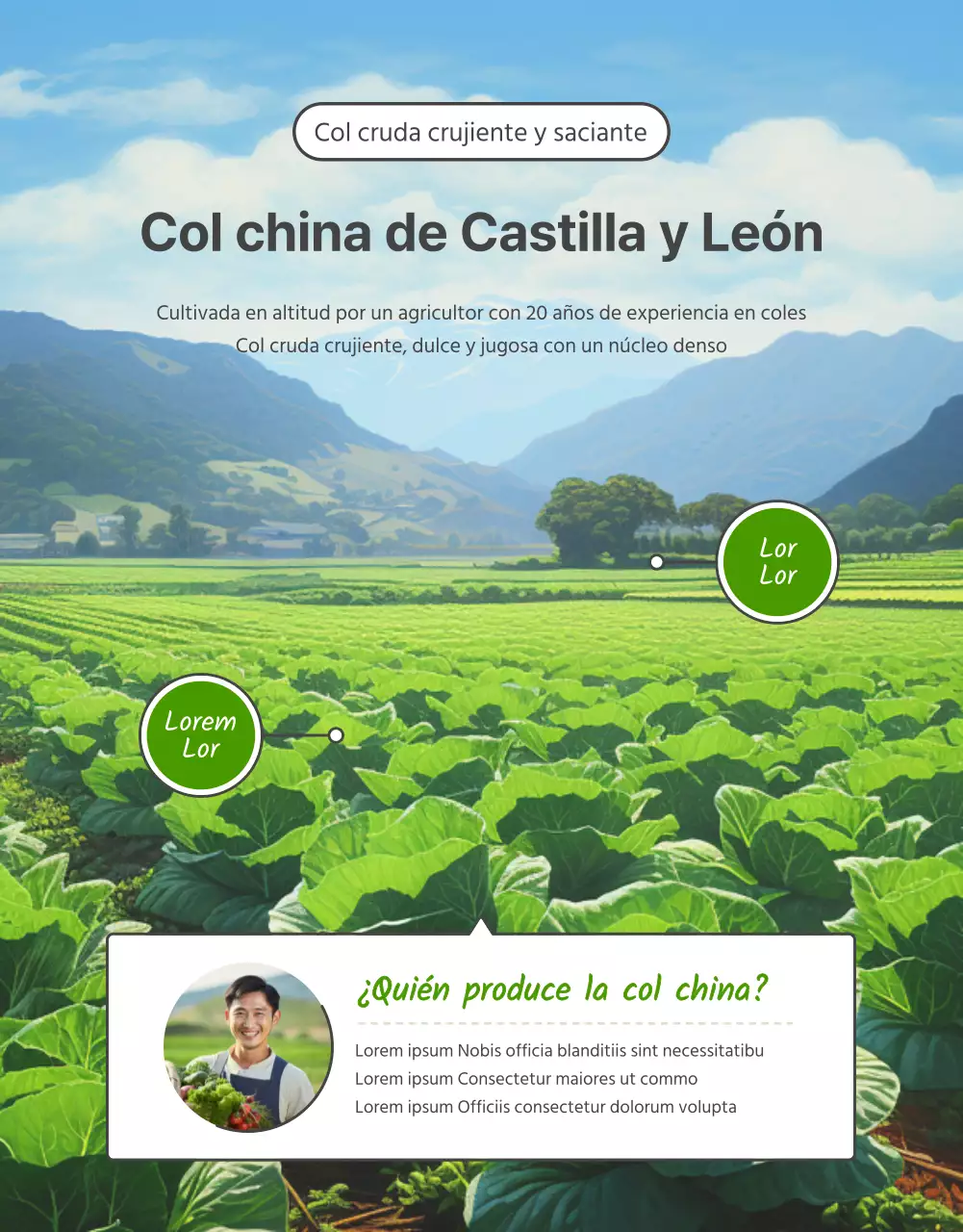 Promover la venta de coles básicas verdes y chartreuse