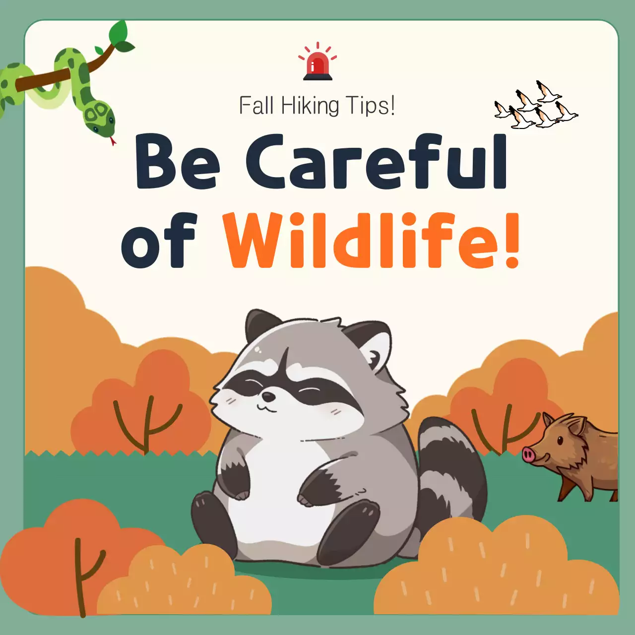 그린 러스틱 하이킹 가이드 인스타그램 캐러셀