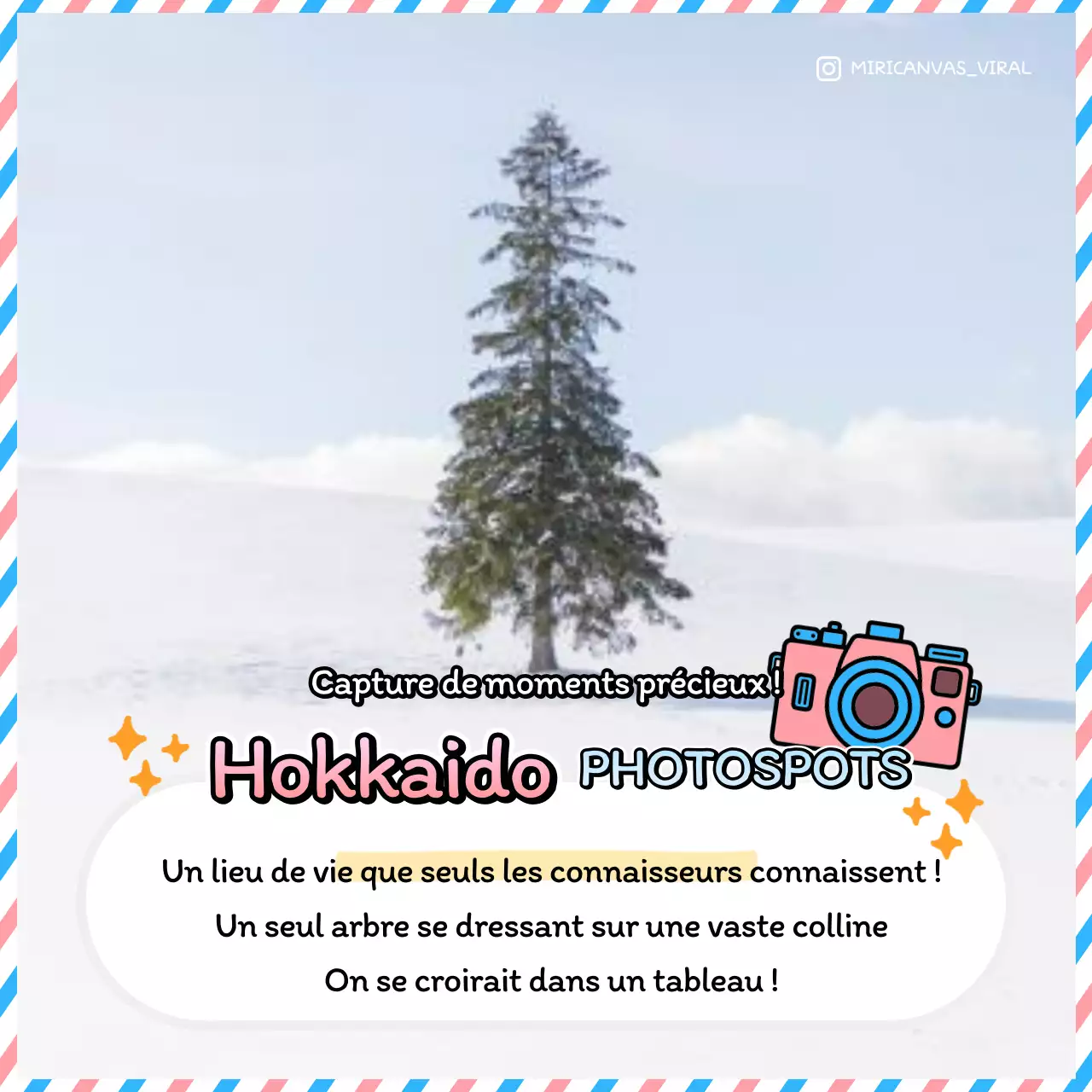 Un guide de voyage rose et bleu ciel pour le Japon