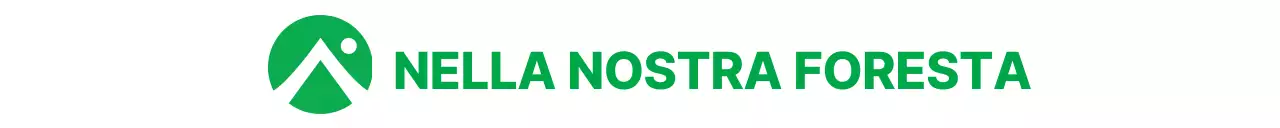 Copione promozionale per un'organizzazione di conservazione con un discorso di un ambientalista.