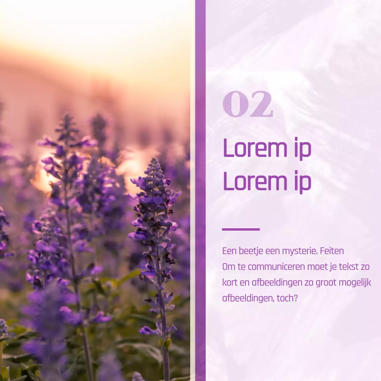 Een minimalistische marketingpost in paars