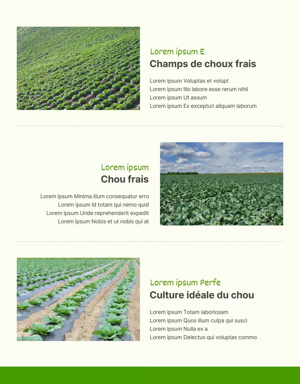 Promouvoir la vente de choux verts de base et de choux chartreuse