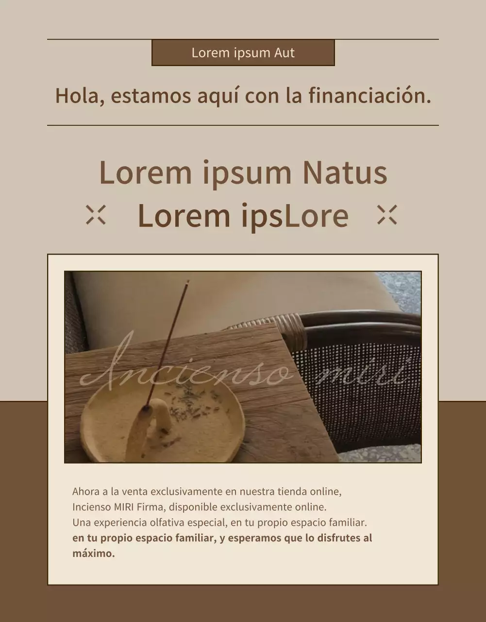 Una sencilla propuesta de financiación de incentivos en beige y marrón