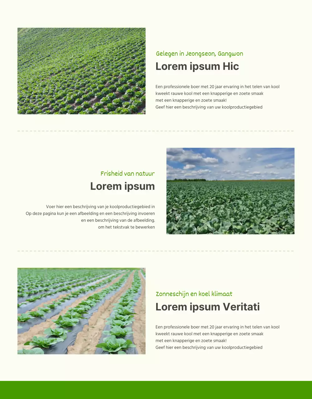 De verkoop van groene en chartreuse kolen bevorderen