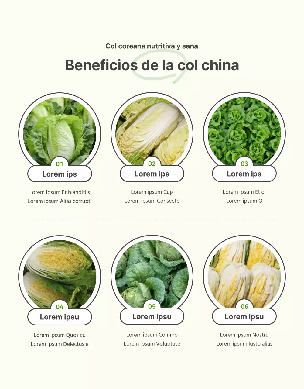 Promover la venta de coles básicas verdes y chartreuse