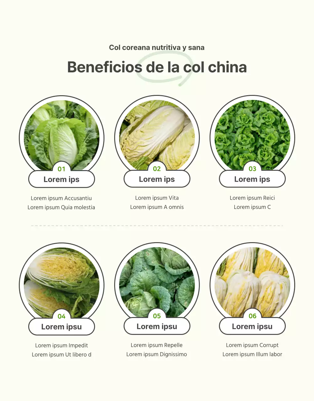 Promover la venta de coles básicas verdes y chartreuse