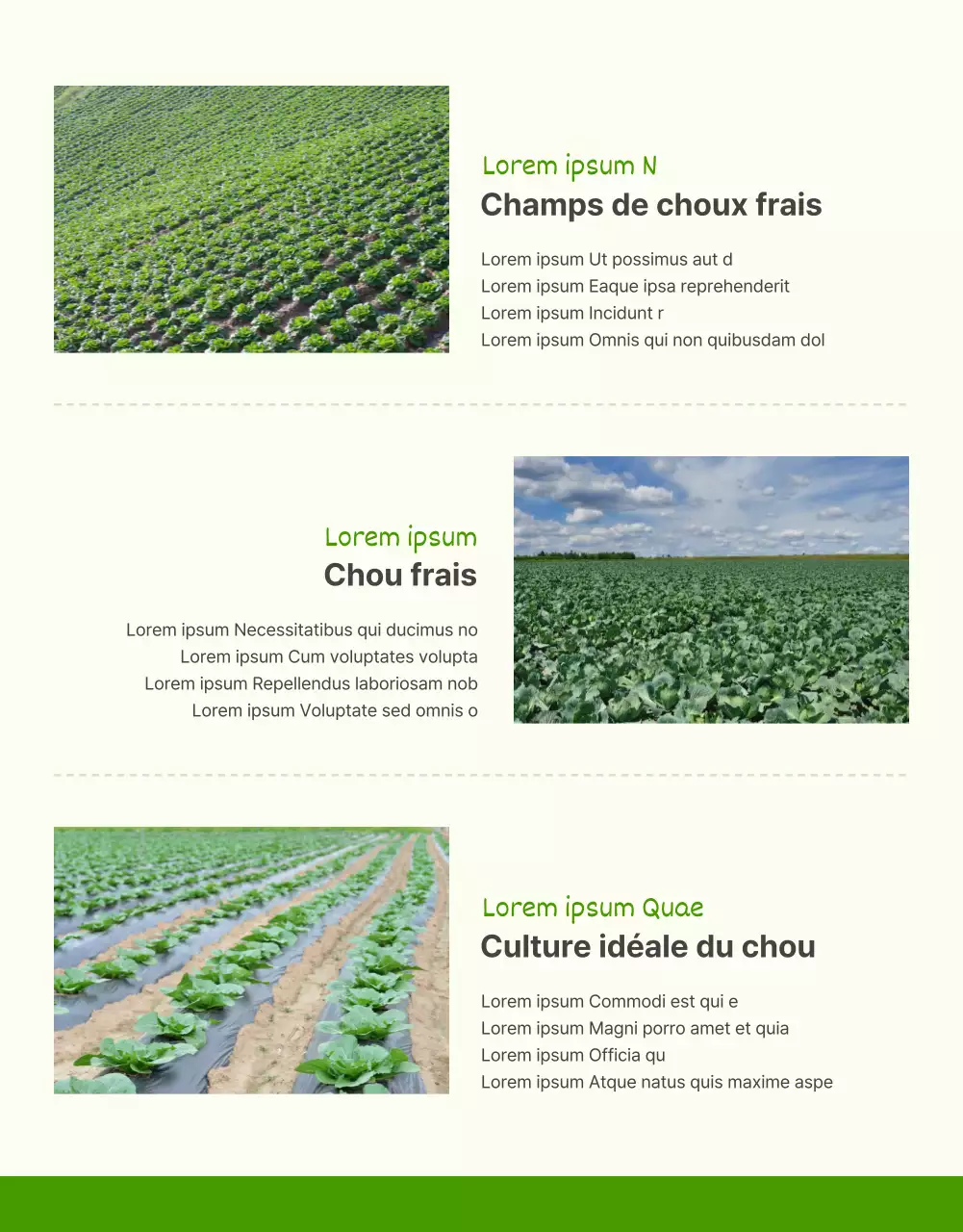 Promouvoir la vente de choux verts de base et de choux chartreuse