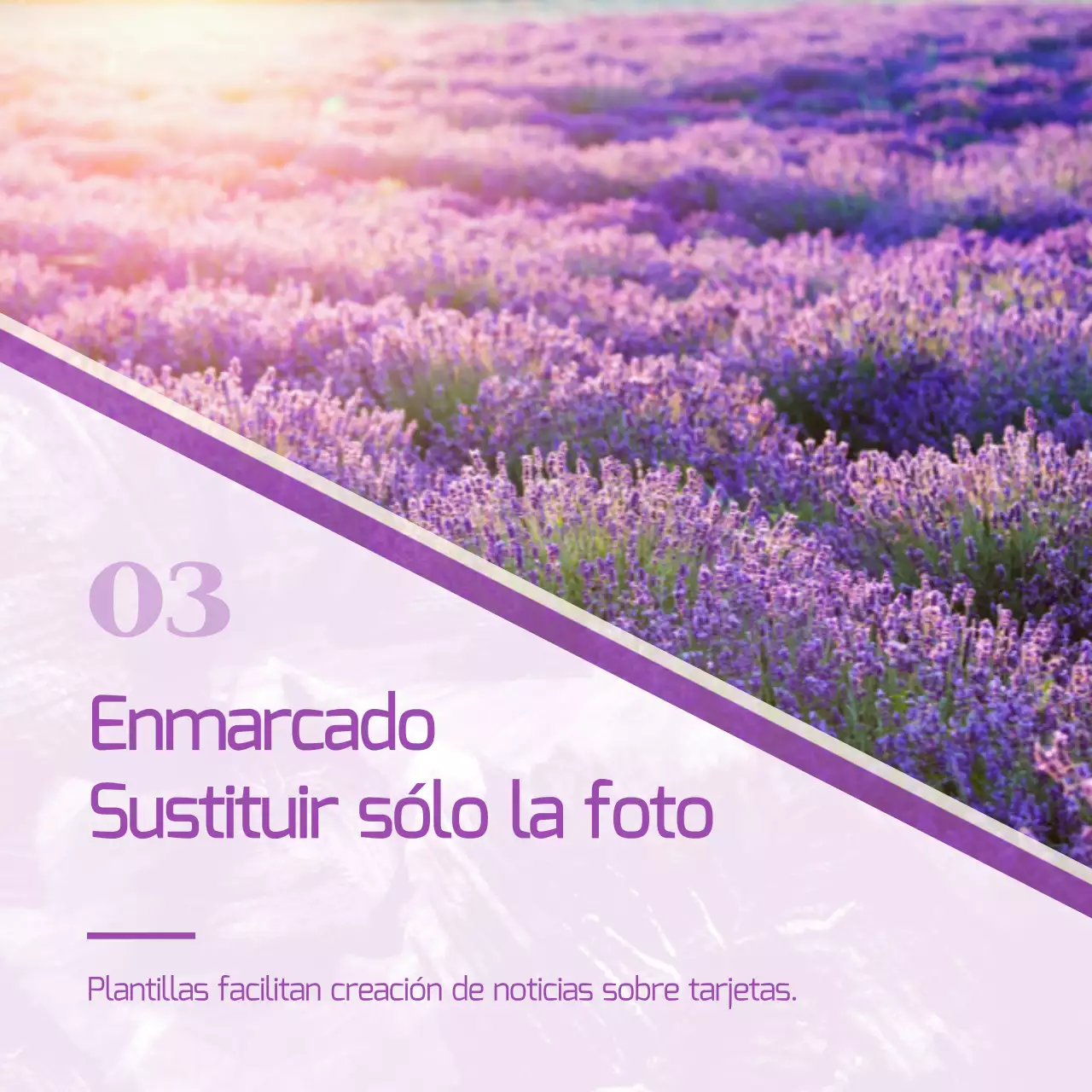 Un puesto de marketing minimalista en morado