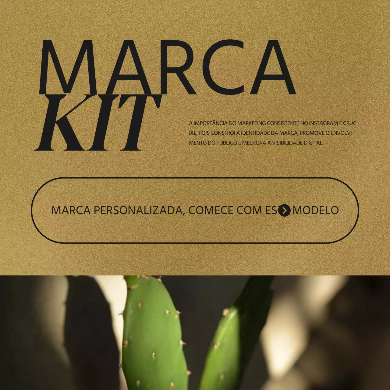 Uma publicação sobre os kits de marca das redes sociais que estão na moda, em castanho e vermelho