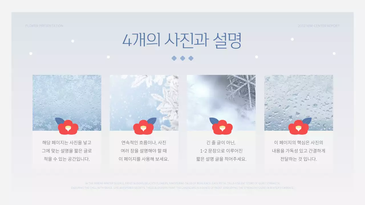 하늘색과 빨강의 미니멀한 겨울 꽃 발표자료
