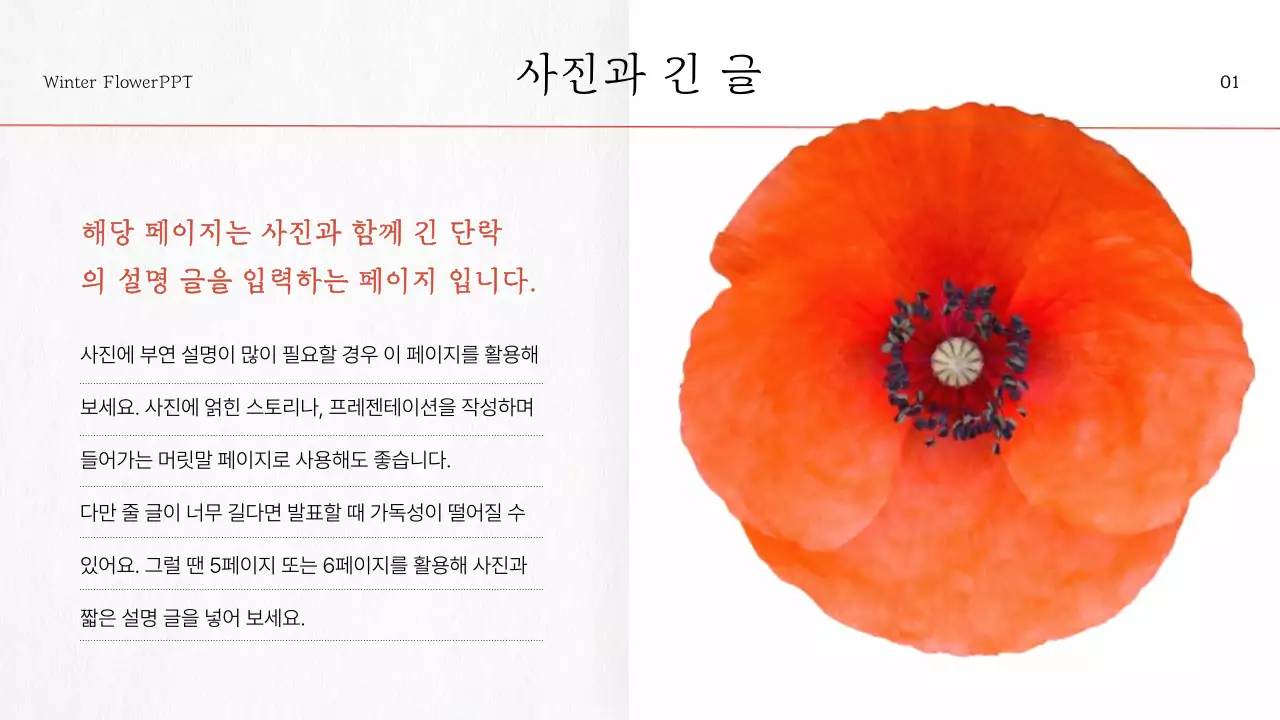 빨강 꽃 포인트의 자연느낌 수채화 소개서