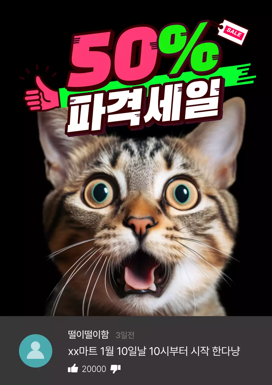 고양이도 놀란 파격세일